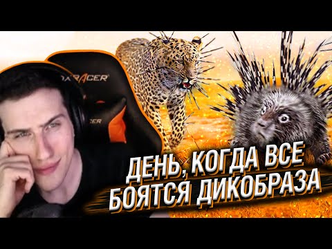Видео: Hellyeahplay смотрит: День, Когда Все Хищники Боятся Дикобраза