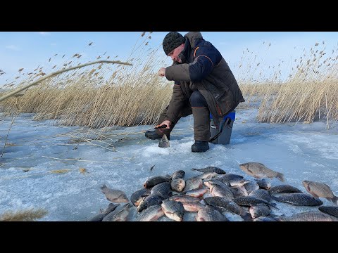 Видео: ВЕСЕННИЙ ЛЁД РАЗДАЕТ! КАРАСИ НЕ ЛЕЗУТ В ЛУНКИ! ЗАКРЫТИЕ СЕЗОНА ТВЕРДОЙ ВОДЫ
