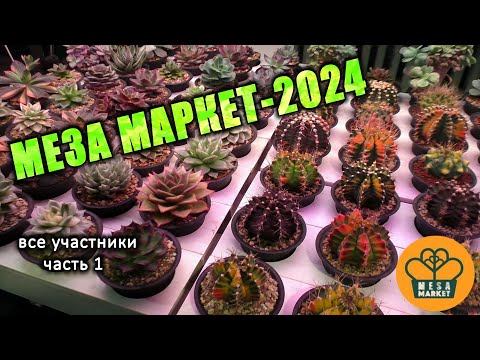 Видео: Меза Маркет-2024 Все участники. Полный обзор выставки-ярмарки, часть 1