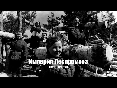 Видео: Империя Леспромхоз часть пятая