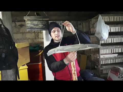 Видео: ЧТОБЫ РОЙ НЕ УЛЕТЕЛ С ПАСЕКИ ПОЛЬЗУЮСЬ ТАКИМ ПРИВОЕМ.