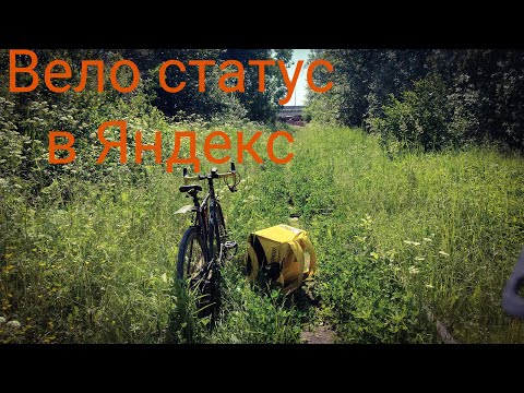 Видео: Вело статус в Яндекс доставке Яндекс еда проблемы со здоровьем