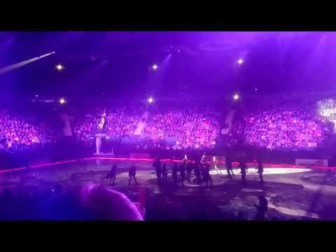 Видео: Дракула на льду. Марш вампиров