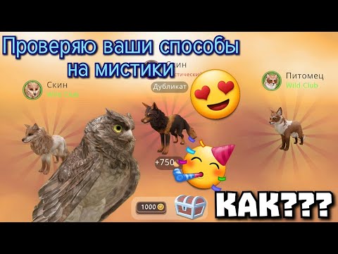 Видео: ПРОВЕРЯЮ ВАШИ СПОСОБЫ НА МИСТИКИ Wildcraft