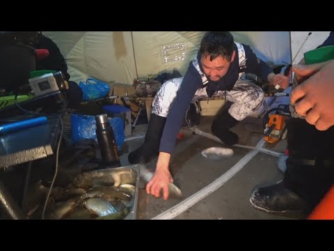 Видео: ТАЗ РЫБЫ за 30 минут в ГЛУХОЗИМЬЕ!!! РЫБАКИ ШИШКИНОГО ДОМА!!!