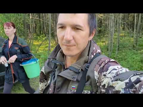 Видео: Мои Девчонки в обмороке !!!! Столько грибов еще не было , я в шоке ,Грибалка 2023