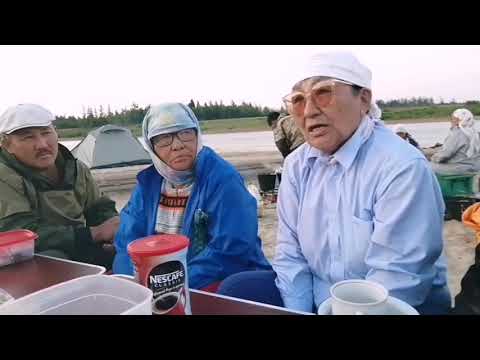 Видео: Тэйэр Хайа туһунан Харитонова Елена Петровна кэпсиирин истиҥ!