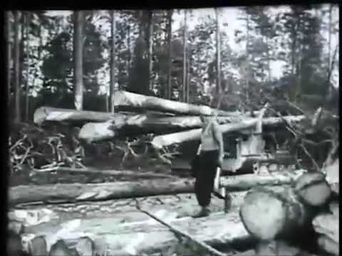 Видео: Т-48А. Валочно-трелёвочная машина. 1961 год.