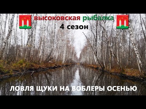 Видео: Ловля щуки на воблеры осенью. ловля щуки на мелководье. ЛОВЛЯ ЩУКИ В ПОДМОСКОВЬЕ