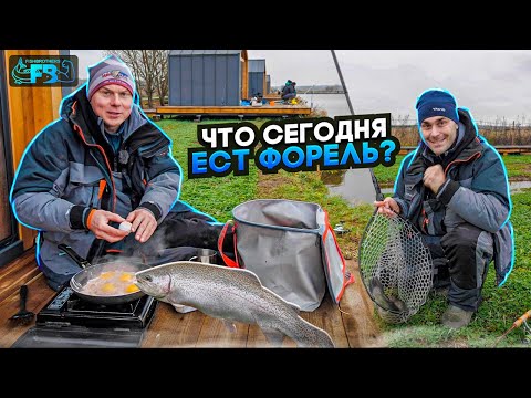 Видео: Половили ФОРЕЛЬ на безлимите 🐟! Помогли наработки из мормышки и новые проводки! 🍳РЫБАЛКА УДАЛАСЬ!