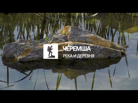 Видео: Черемша. Если дома не сидится