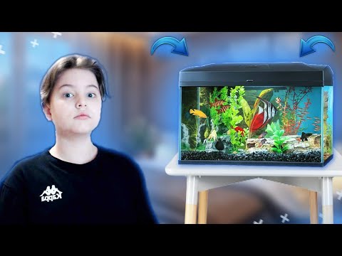Видео: СОЗДАЛ АКВАРИУМ МЕЧТЫ ! / Aquarium Designer