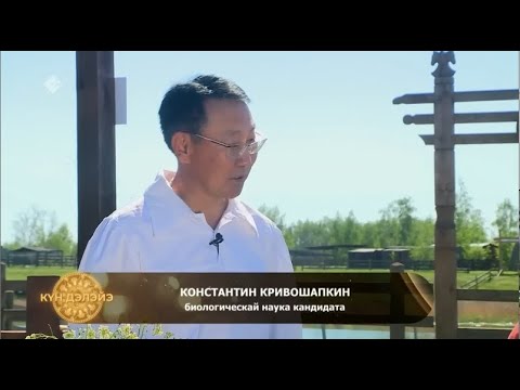 Видео: Төрүт ас туһата. «Күн дэлэйэ» 25 06 22