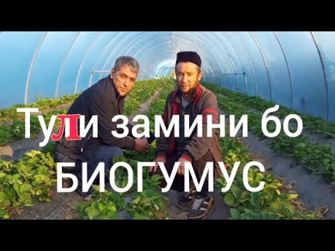 Видео: Н-94 Тули замини бо Биогумус +992 55 700 22 16 ватсап