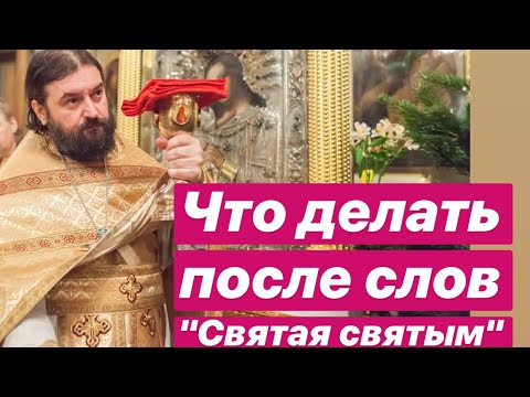 Видео: Что делать после слов "Святая святым!!" Протоиерей  Андрей Ткачёв.