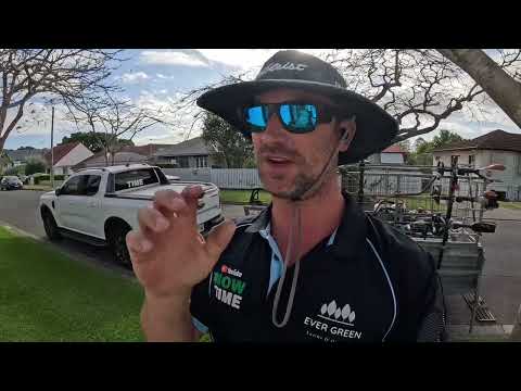 Видео: ПЕРВЫЙ КОШЕНИЕ УКЛАДЫВАЕМОГО ГАЗОНА ИЗ ТУФА TIFF.