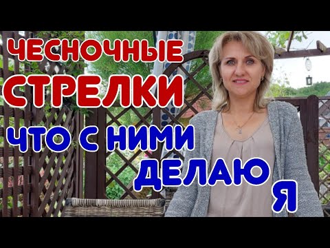 Видео: Что делать с чесночными стрелками | Чесночные стрелки на зиму @galabum