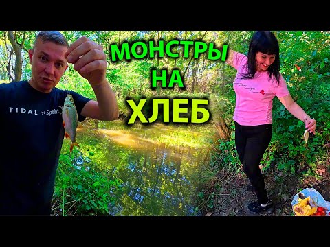 Видео: ЧТО КЛЮЕТ В БОЛОТЕ?