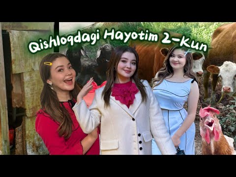 Видео: Qishloq hayoti da 5 kun-Кишлок хайоти да 5 кун 