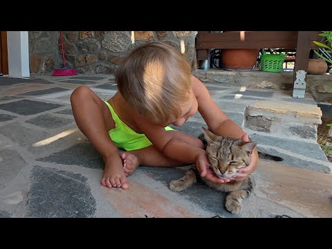 Видео: Этот бродячий кот стал моим лучшим другом!