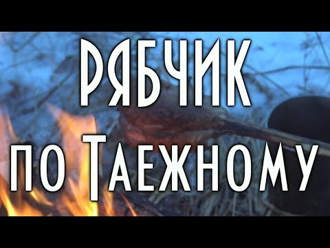 Видео: 🦃 Рябчик на костре, по таежному, шашлык из рябчика, таежная кухня