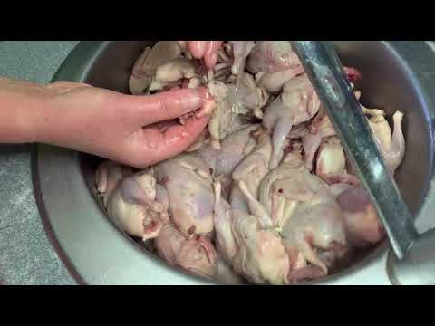 Видео: Как подготовить мясо перепелов к продаже