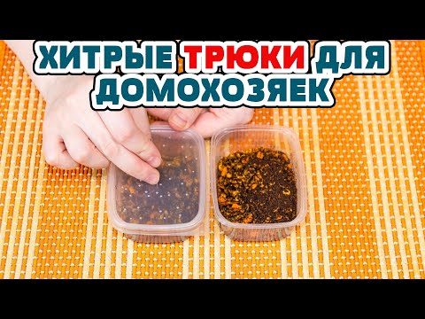 Видео: 7 НЕРЕАЛЬНО ПОЛЕЗНЫХ ЛАЙФХАКОВ ДЛЯ КУХНИ, их нужно знать каждой хозяйке! Полезные советы для жизни!