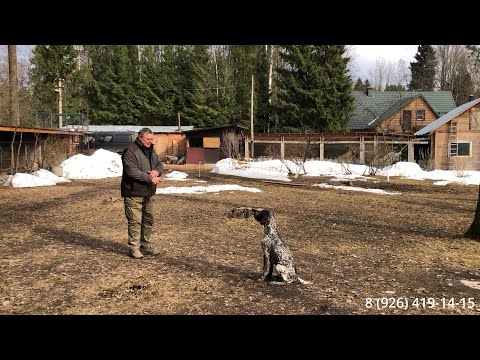 Видео: Как тренируется команда "КО МНЕ" и "СТОЙ"