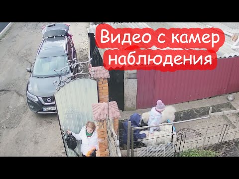 Видео: VLOG Посмотрите записи с камер. Как начиналось то утро...