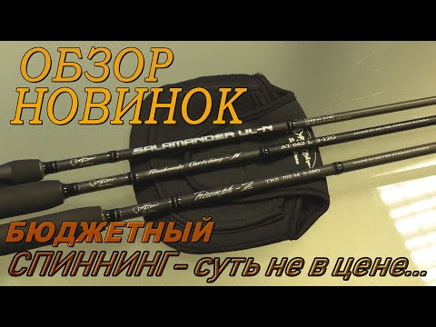 Видео: БЮДЖЕТНЫЙ СПИННИНГ - СУТЬ НЕ В ЦЕНЕ...