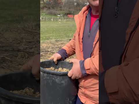 Видео: 15 март 2025 г.