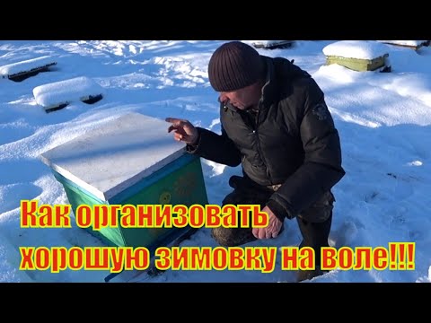 Видео: КАК ОРГАНИЗОВАТЬ ХОРОШУЮ ЗИМОВКУ ПЧЕЛОСЕМЬЯМ В УЛЬЯХ ДАДАН НА ВОЛЕ приближенной к 100% ЗИМОВКЕ.