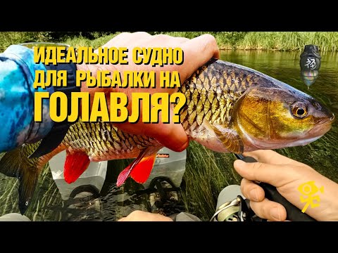 Видео: Сплав на рыболовном плотике в поисках трофейного голавля малой реки