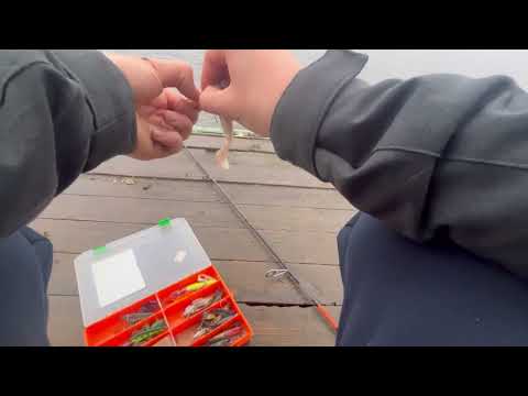 Видео: РЫБАЛКА НА СПИННИНГ ОСЕНЬЮ! ЩУКА УДАРИЛА ДВА НАЗА И НЕ ДОГНАЛА!