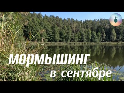 Видео: 2024.09.17.Мормышинг в сентябре.