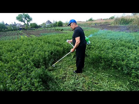 Видео: Триммер бензиновый для травы 🌿 Как косить и делать валок мотокосой