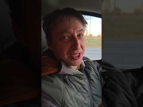 Видео: Заключение ГДП о состоянии здоровья льва ШерХана. 