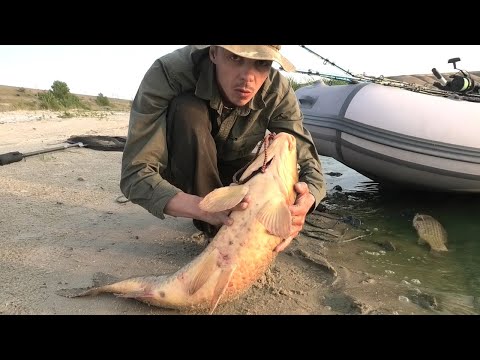 Видео: КРУПНЫЙ ДИКИЙ САЗАН ПРОСТО НА ЧЕРВЯ!!! ГНЁТ И ДАВИТ   РЫБАЛКА НА КРУПНОГО САЗАНА