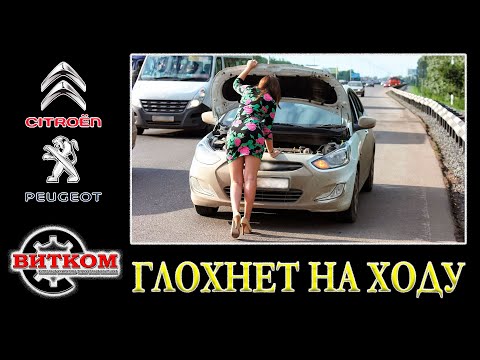 Видео: Автомобиль глохнет на ходу. Пежо Ситроен дизель HDI. Поиск неисправности.