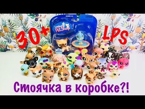 Видео: LPS: БОЛЬШАЯ РАСПАКОВКА LPS! (30+)