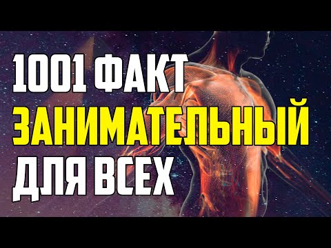 Видео: 1001 ЗАНИМАТЕЛЬНЫЙ ФАКТ ОБО ВСЕМ НА СВЕТЕ