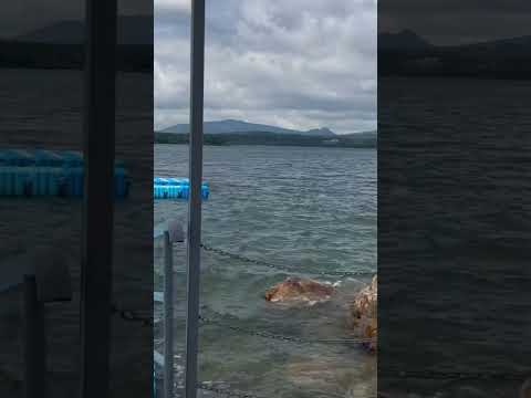 Видео: Море Риксос Боровое