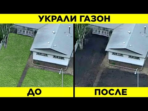 Видео: Самые Глупые и Странные Кражи
