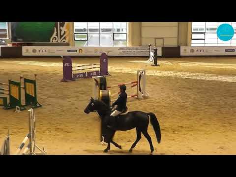 Видео: Конкур 110 см., открытый класс. Группа 1, Чемпионат РК. Астана, 22-10-23