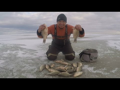 Видео: Первый лед - Уелги. Ловля карася. Открытие зимнего сезона 2024-2025. Icefishing.