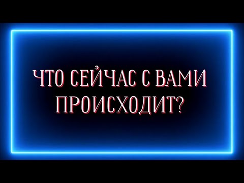 Видео: ЧТО С ВАМИ ПРОИСХОДИТ СЕЙЧАС?🤫🐾🧩