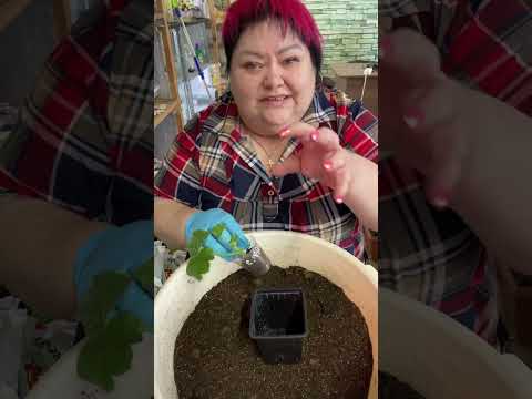 Видео: 2 марта 2025 г.