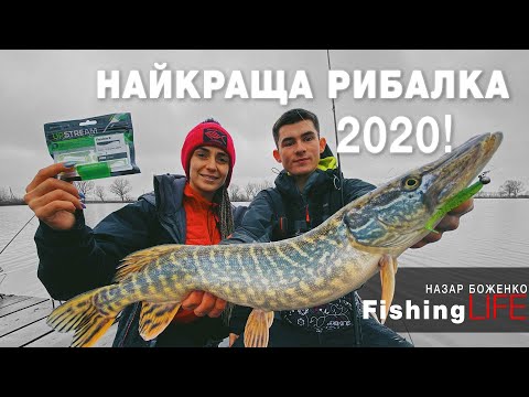 Видео: БАГАТО ЩУКИ! СУДАК, СОМ і ФОРЕЛЬ на спінінг!