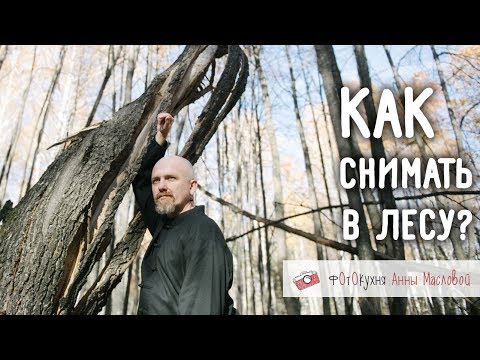 Видео: Как снимать в лесу? Фотокухня Анны Масловой. Выпуск №56
