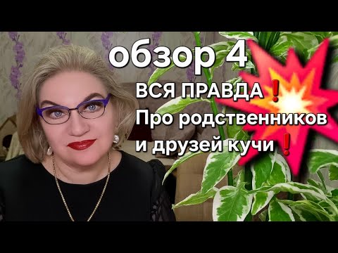 Видео: ВСЯ ПРАВДА❗️Про родственников и друзей кучи❗️